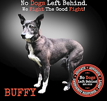 Photo of Buffy 9391