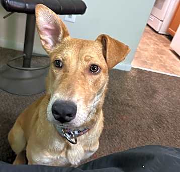 Photo of Chloe