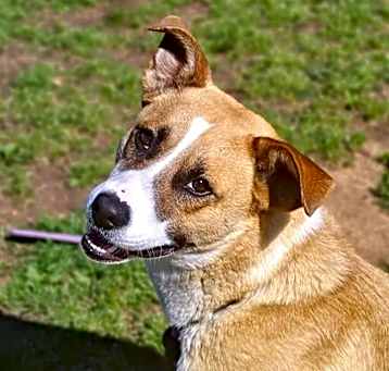 Photo of Clifford