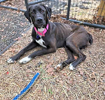 Photo of Dottie