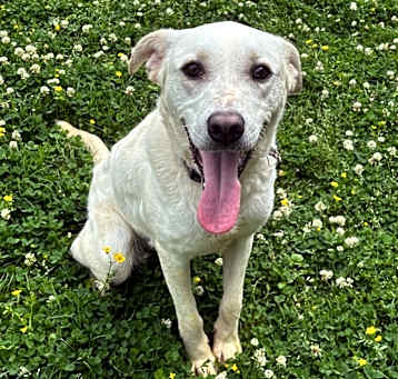Photo of Bingo