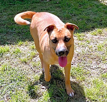 Photo of Cleo