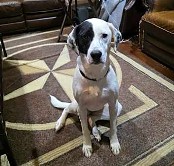 Photo of Nala