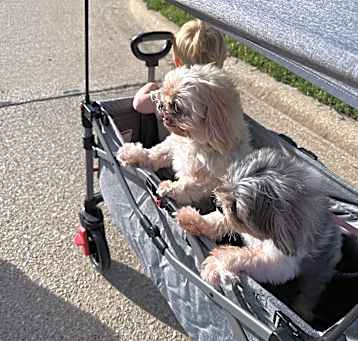 Photo of Mayzie & MacGregor