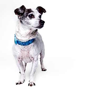 Photo of Agatha
