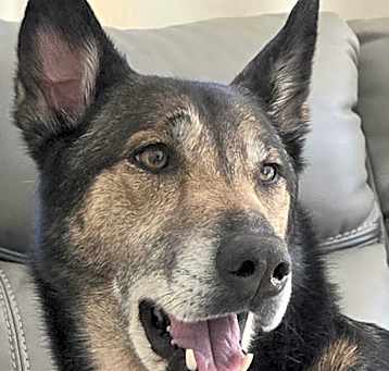 Photo of DAISY