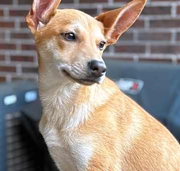 Photo of Savannah