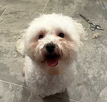 Photo of Ellie