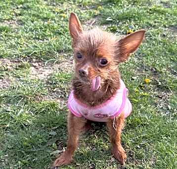 Photo of Olivia