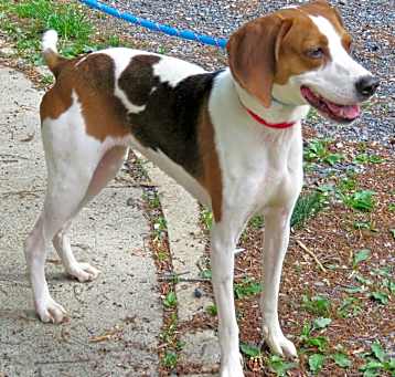 Photo of Susie