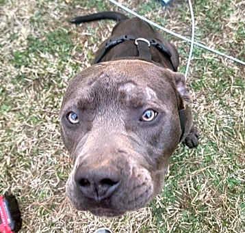 Photo of Buster