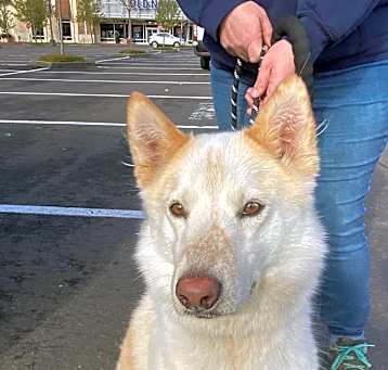 Photo of Dakota