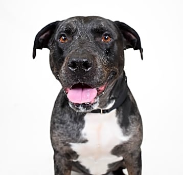 Photo of Remington