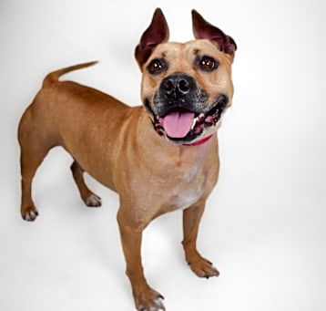 Photo of Zeke