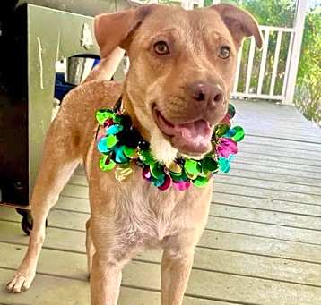 Photo of Penny
