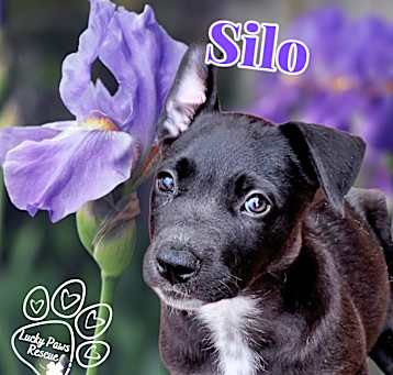 Photo of Silo