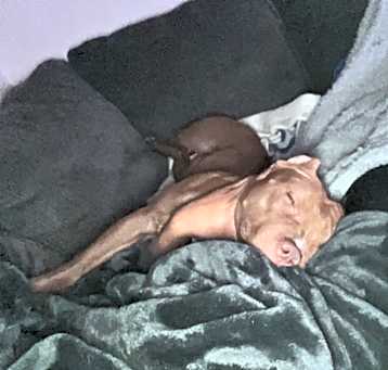 Photo of Zuzu