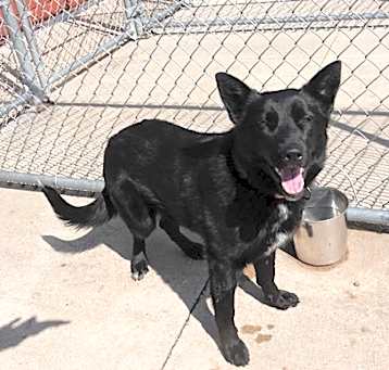 Photo of Roxy