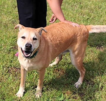 Photo of Bella