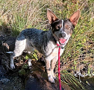 Photo of Missy