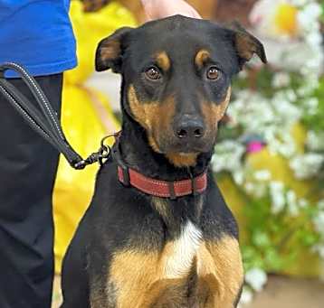 Photo of Duke