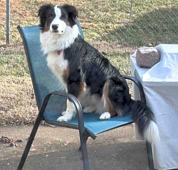 Photo of Maverick