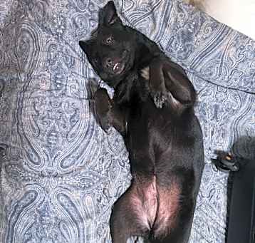 Photo of Luna