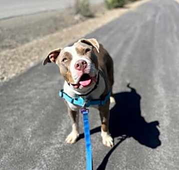 Photo of Nala
