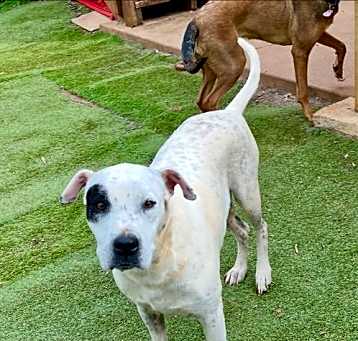 Photo of Dottie