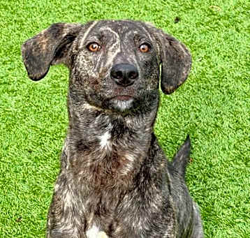 Photo of Sprout
