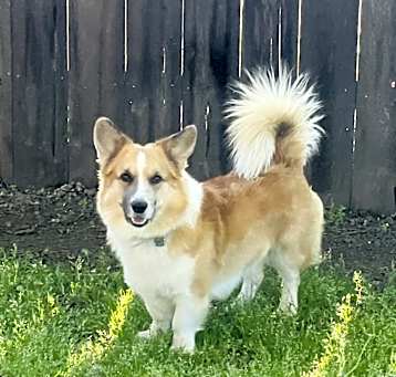Photo of Gus