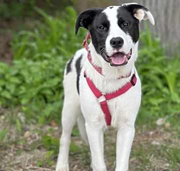 Photo of Kylo