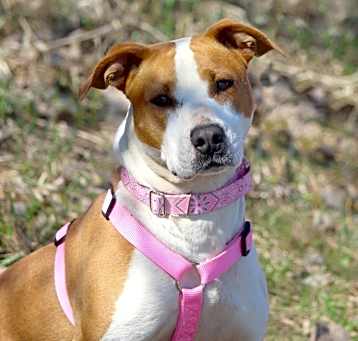 Photo of Roxy
