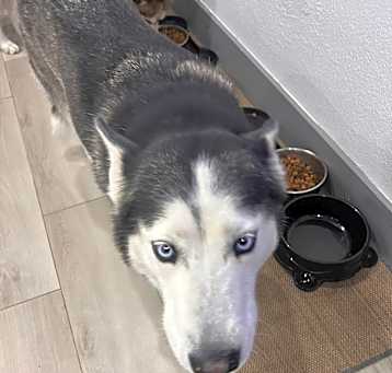 Photo of Storm