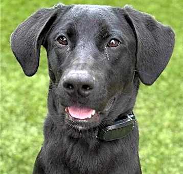 Photo of Hallie