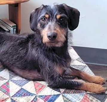 Photo of Seymour