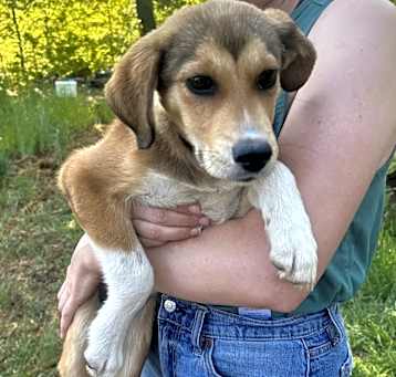 Photo of Kiwi