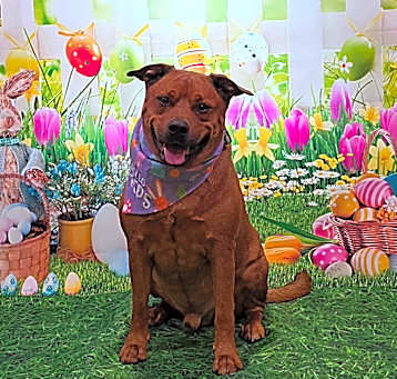Photo of Zeus