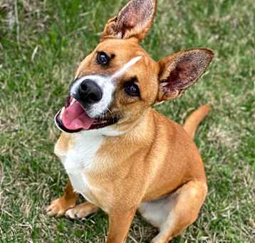 Photo of Sneezy