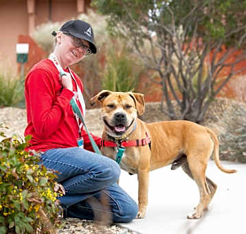 Photo of Scooby