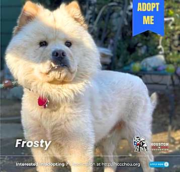 Photo of Frosty
