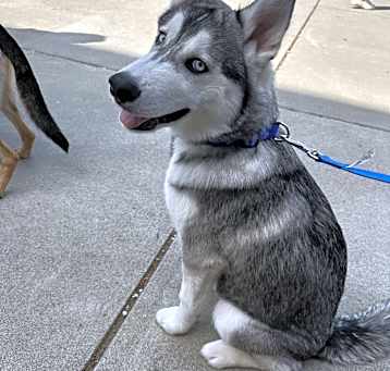 Photo of Storm
