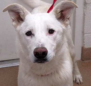 Photo of Starla