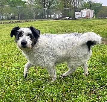 Photo of Watson