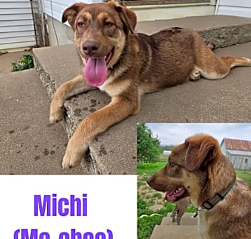 Photo of Michi