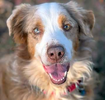 Photo of Beamer