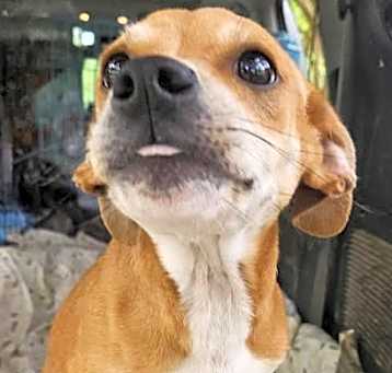 Photo of Brucie in LA