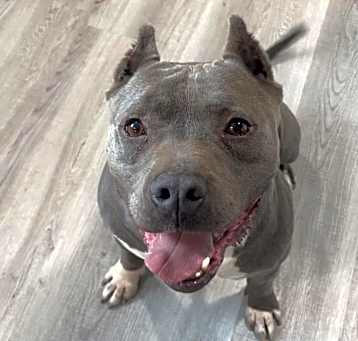 Photo of Charlie