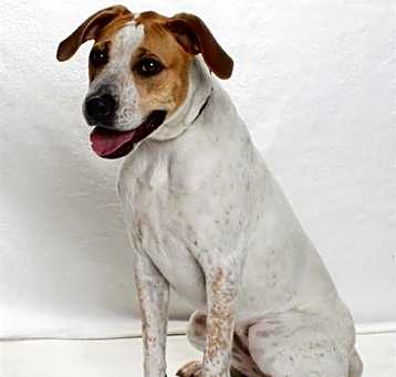 Photo of RUBY