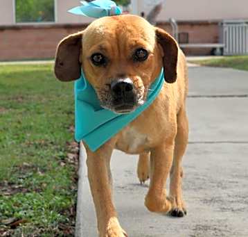 Photo of APRIL MAE